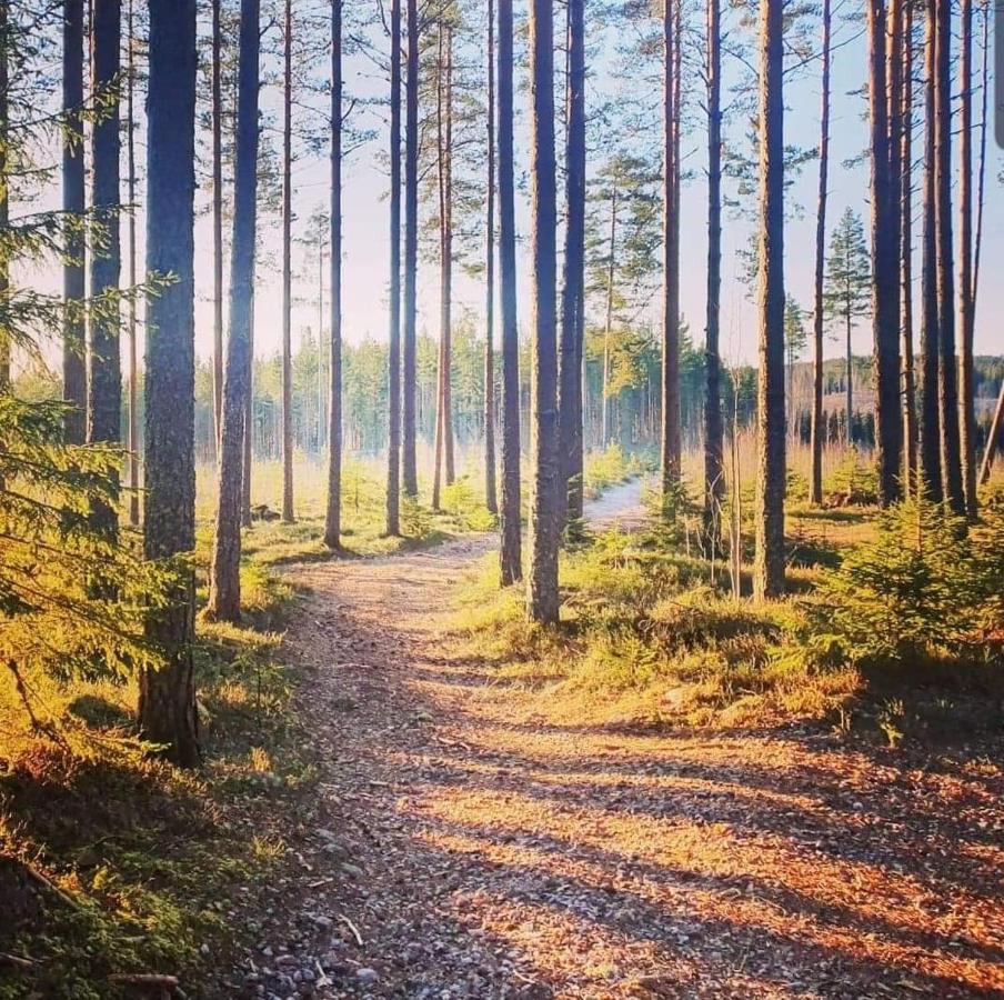 Trevlig Stuga Naera Hovfjaellet Torsby Exteriör bild